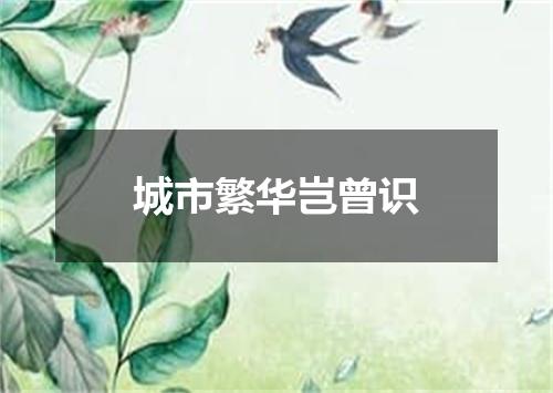 城市繁华岂曾识