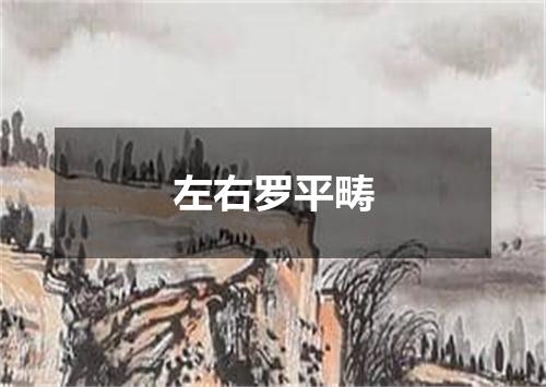 左右罗平畴