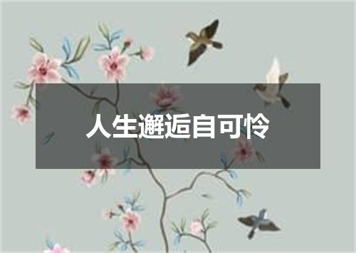 人生邂逅自可怜