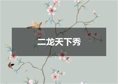 二龙天下秀