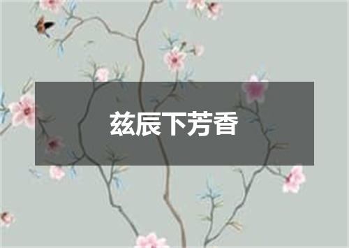 兹辰下芳香