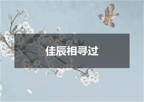 佳辰相寻过