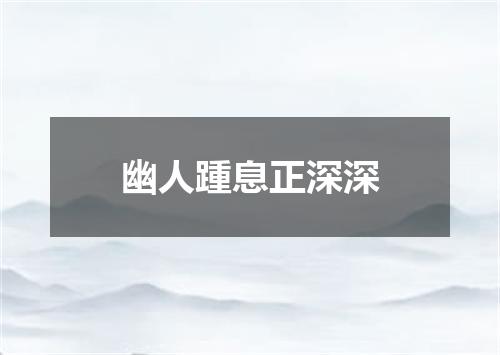 幽人踵息正深深