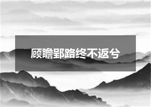 顾瞻郢路终不返兮