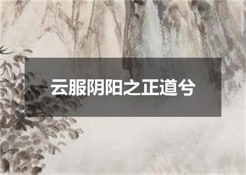 云服阴阳之正道兮