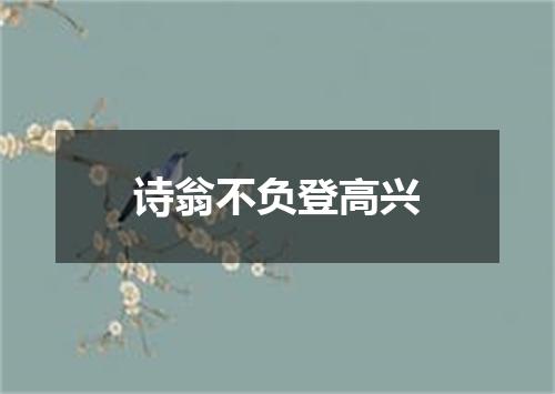诗翁不负登高兴