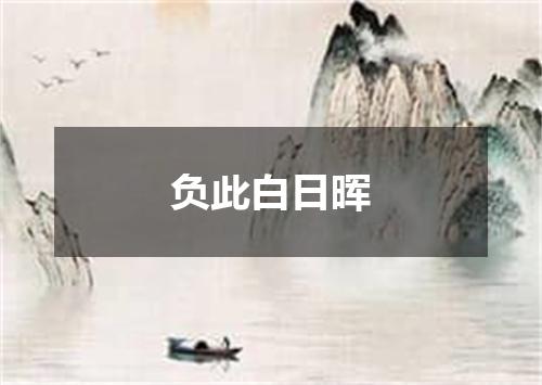 负此白日晖