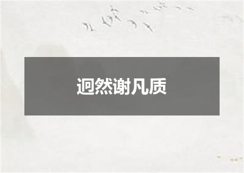 迥然谢凡质
