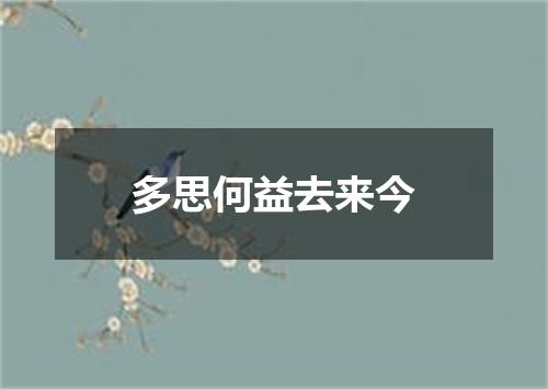 多思何益去来今