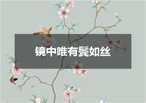 镜中唯有鬓如丝