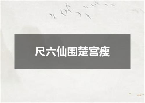 尺六仙围楚宫瘦