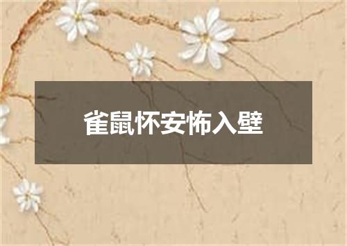 雀鼠怀安怖入壁