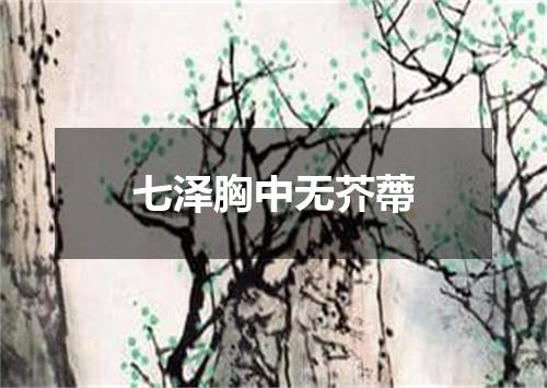 七泽胸中无芥蔕