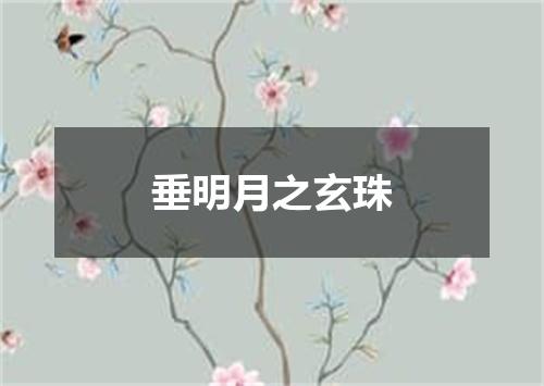 垂明月之玄珠