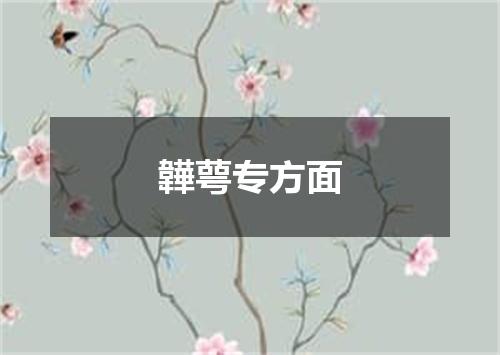 韡萼专方面