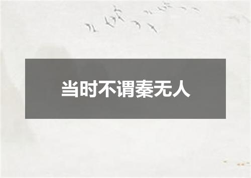 当时不谓秦无人