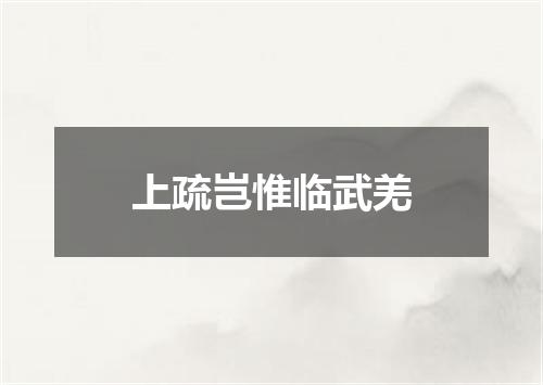 上疏岂惟临武羌