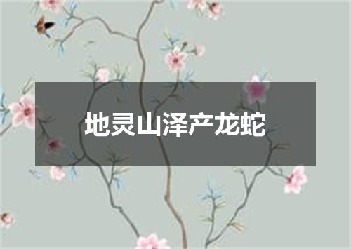 地灵山泽产龙蛇