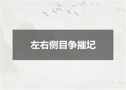 左右侧目争摧圮