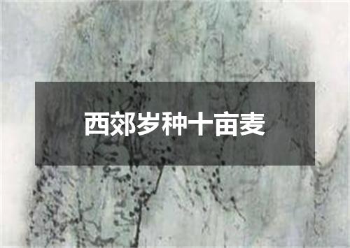 西郊岁种十亩麦