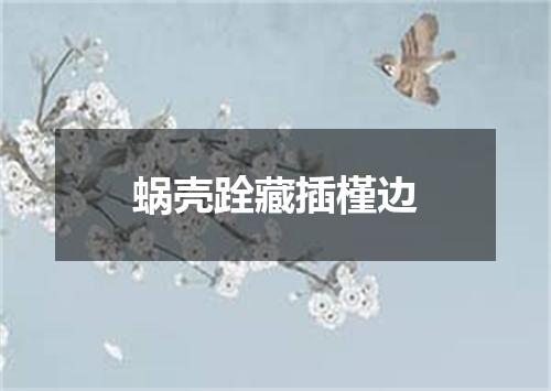 蜗壳跧藏插槿边
