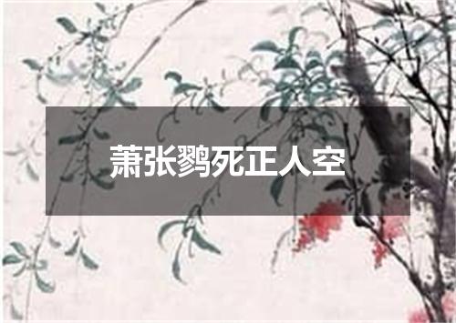 萧张鹨死正人空