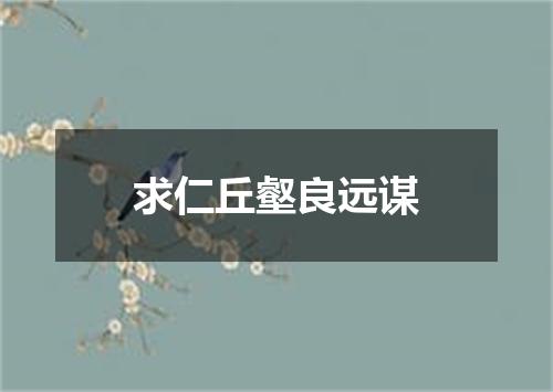 求仁丘壑良远谋