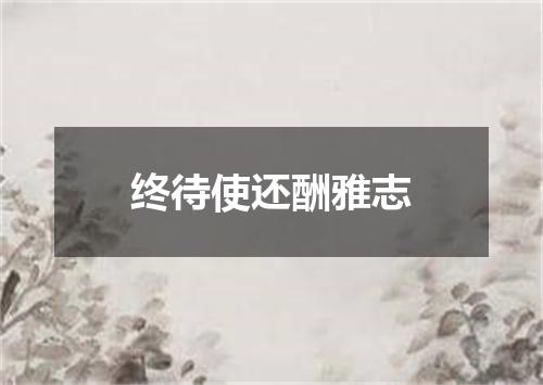 终待使还酬雅志