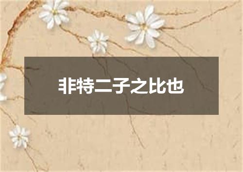 非特二子之比也