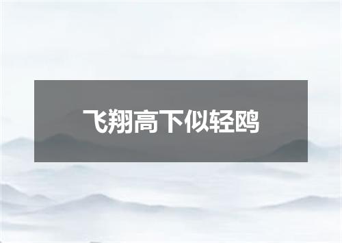 飞翔高下似轻鸥