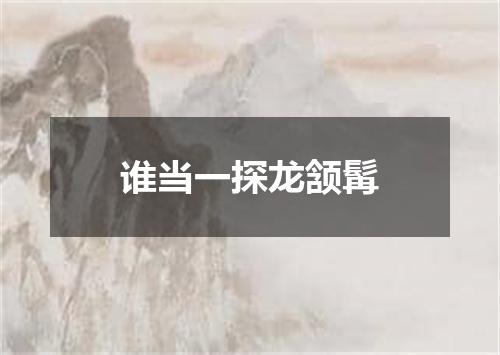 谁当一探龙颔髯