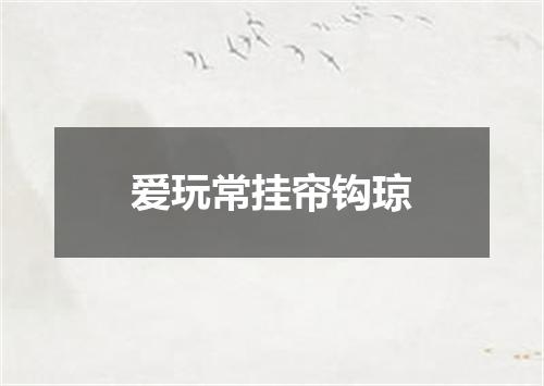 爱玩常挂帘钩琼