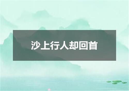 沙上行人却回首