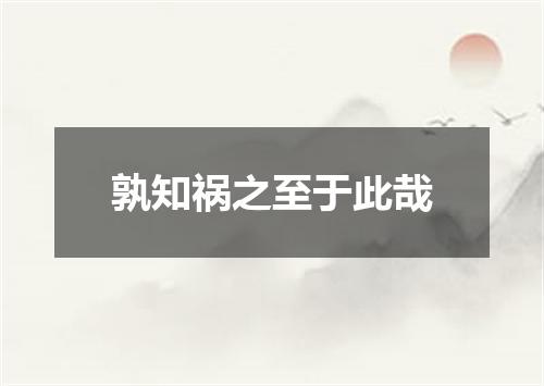 孰知祸之至于此哉