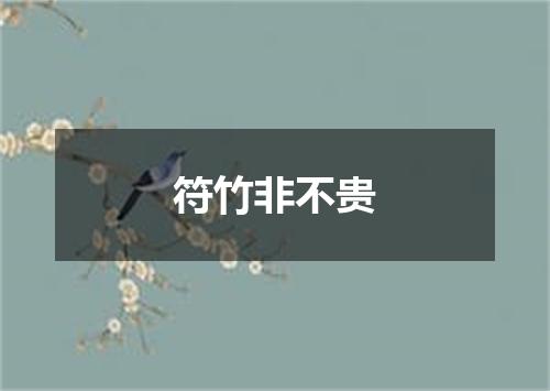 符竹非不贵