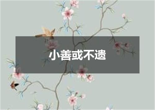 小善或不遗