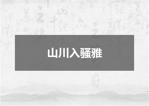 山川入骚雅