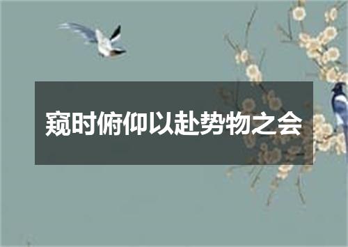 窥时俯仰以赴势物之会
