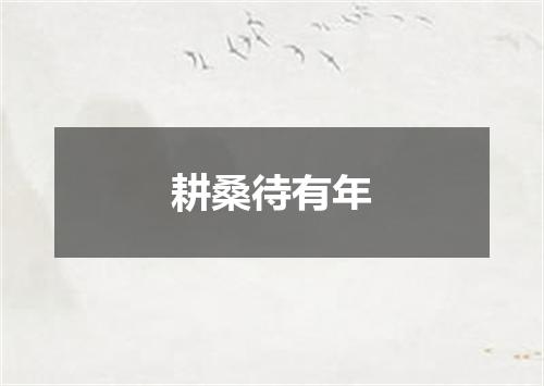 耕桑待有年