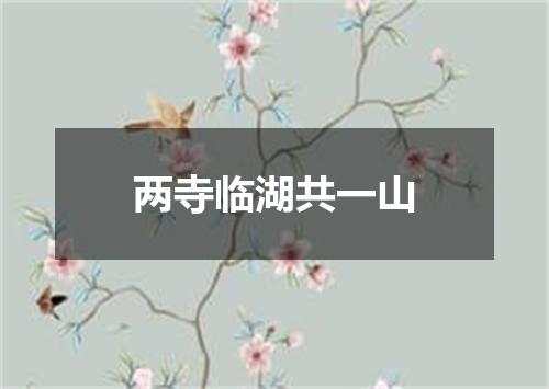 两寺临湖共一山