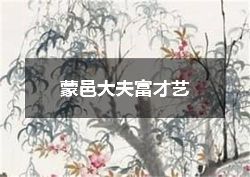 蒙邑大夫富才艺