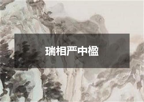 瑞相严中楹