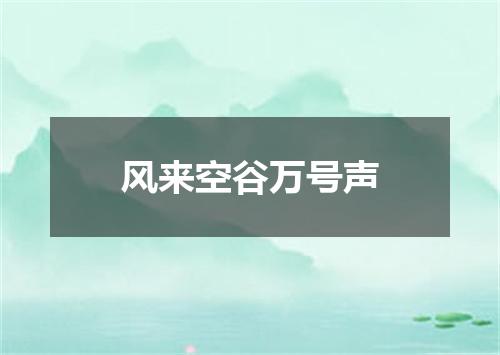 风来空谷万号声