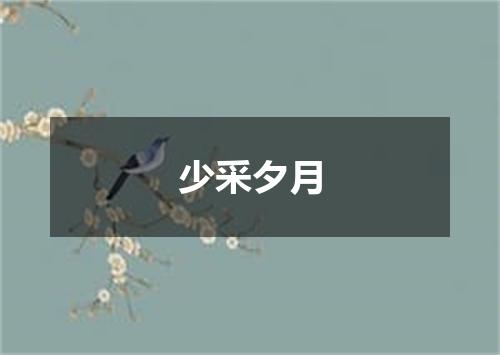 少采夕月