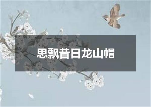 思飘昔日龙山帽