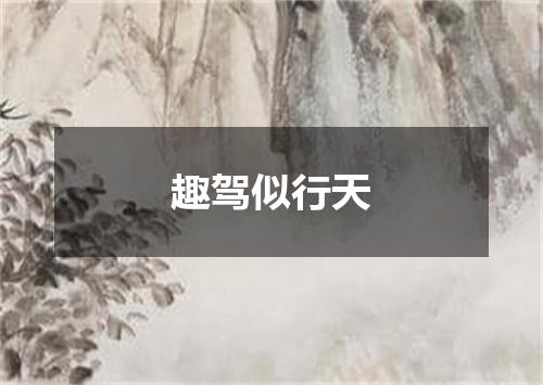 趣驾似行天