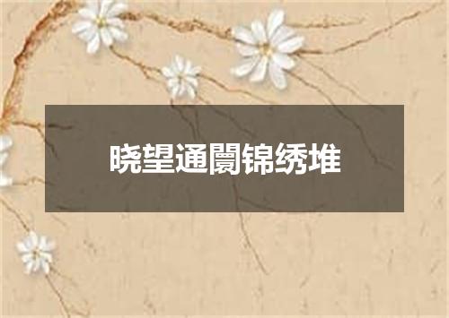 晓望通闤锦绣堆