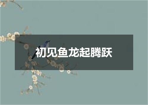 初见鱼龙起腾跃