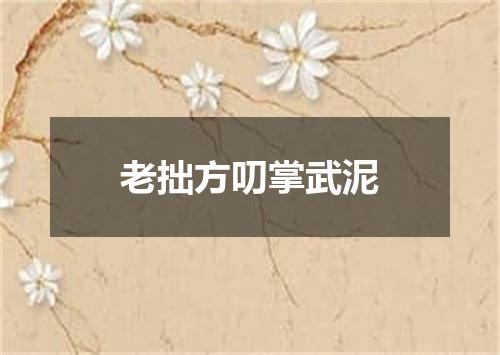 老拙方叨掌武泥
