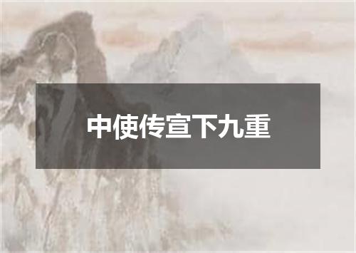 中使传宣下九重